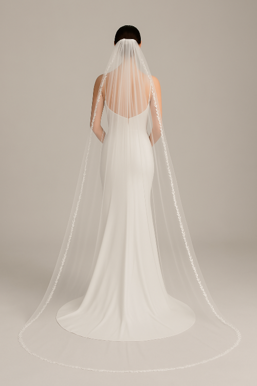 Delphine Veil